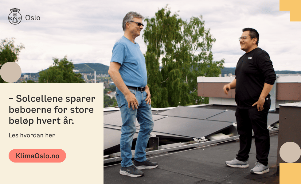 Footwear, Shoe, Sky, Cloud, Gesture, Sneakers, Asphalt, Shorts, Tree, Leisure