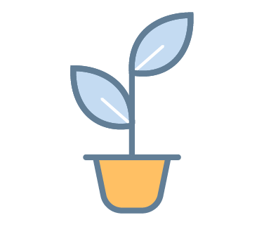 Liquid, Plant, Drinkware, Cup, Flowerpot, Fruit