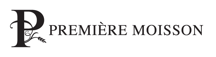 Text, Font