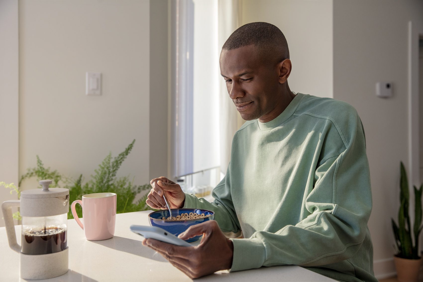 Plant, Flowerpot, Houseplant, Sleeve