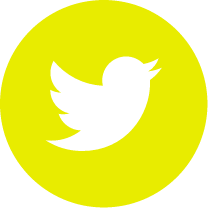 Twitter, FRAUWENK Yellow, Bird, Social Media