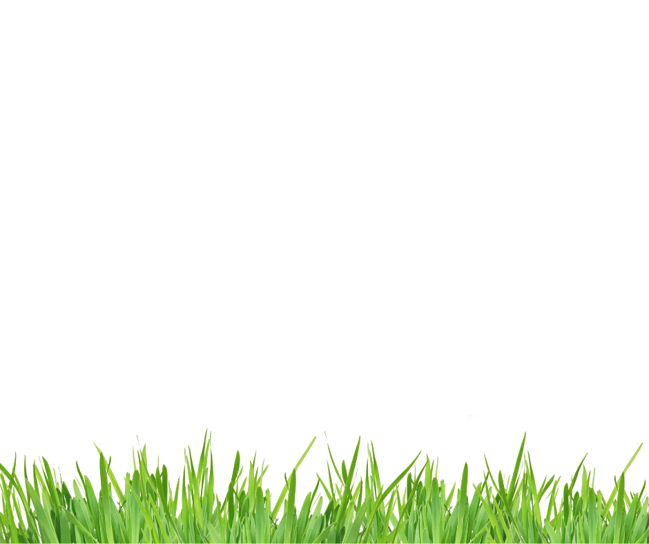 People in nature, Natural landscape, Terrestrial plant, Sky, Grass