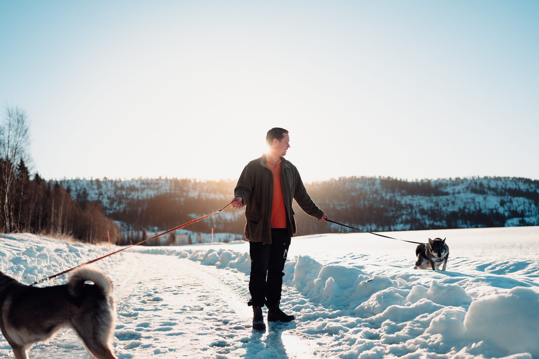 Dog walking, Carnivores, Winter, Snow, Leash