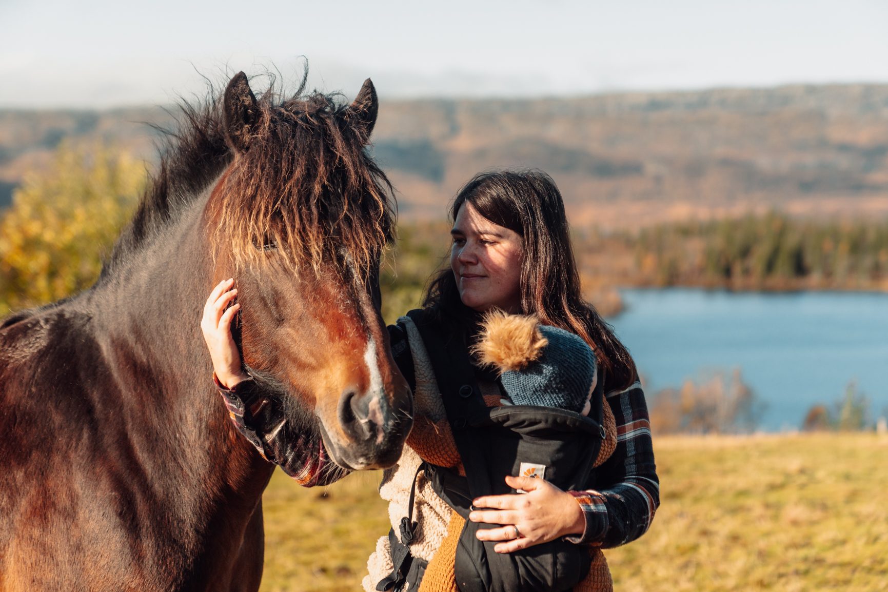 People in nature, Working animal, Horse supplies, Sky, Water, Plant, Liver, Happy, Bridle