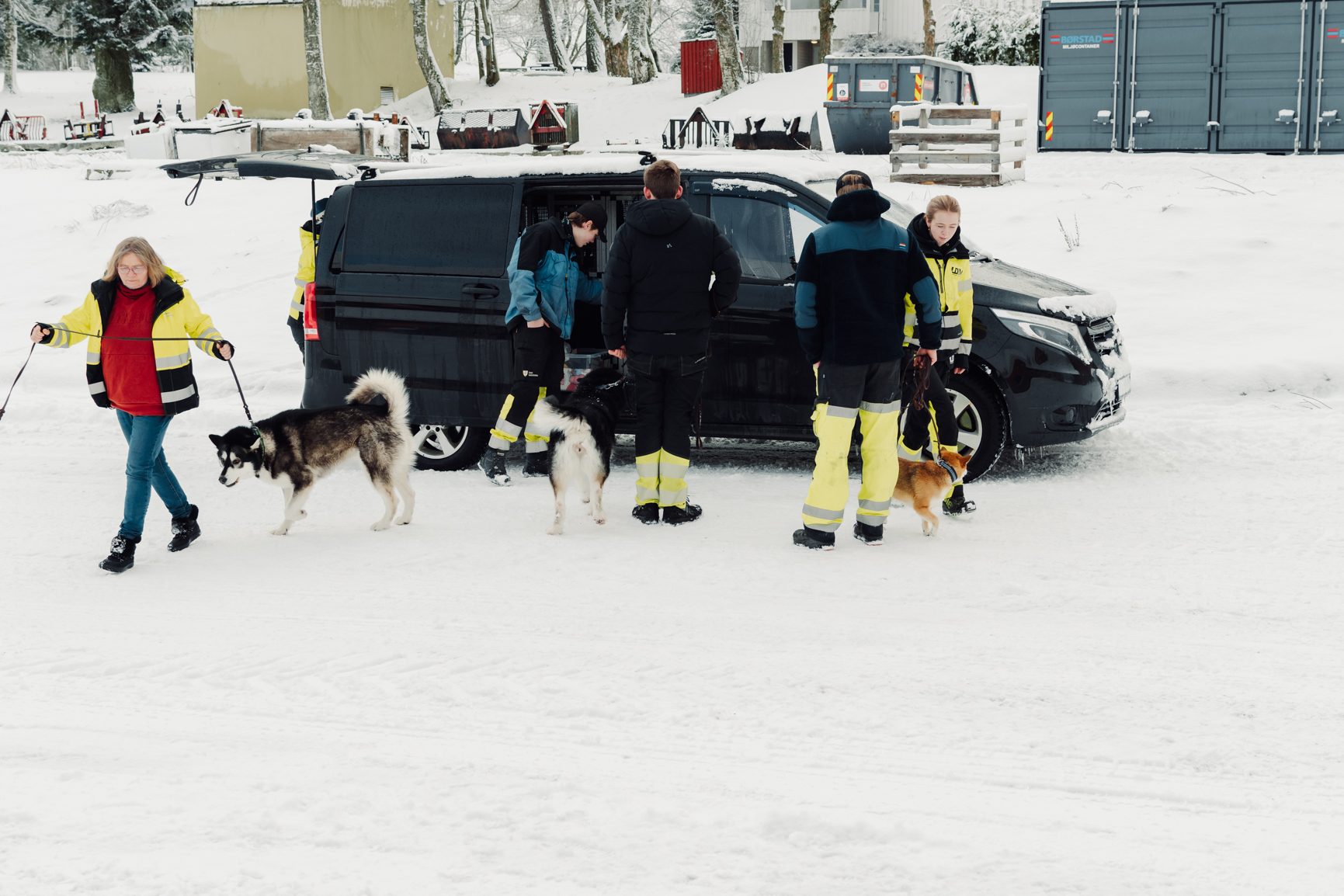 Dog breed, Snow, Vehicle, Car, Tire, Carnivore, Window, Freezing
