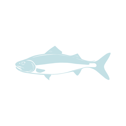 Marine biology, Fin, Fish