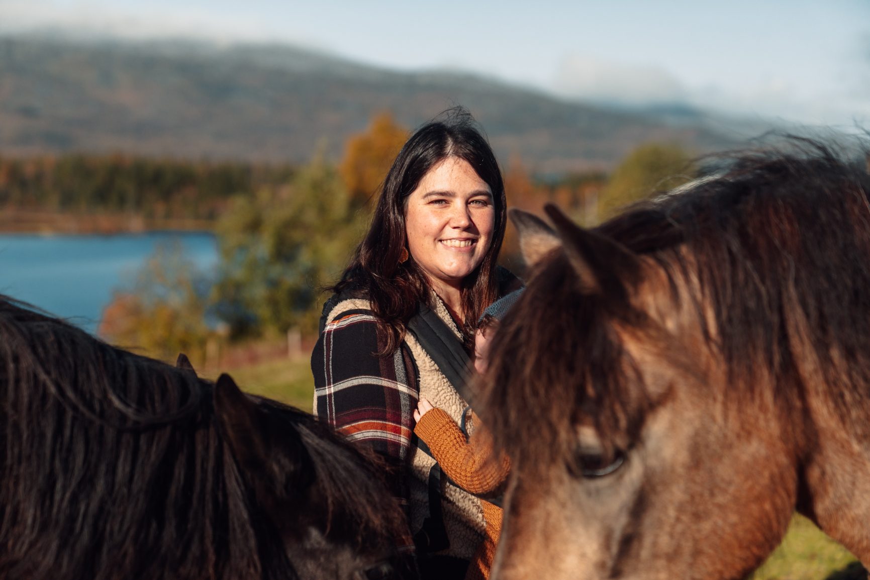 Working animal, Horse tack, Sky, Smile, Plant, Mountain, Halter, Bridle