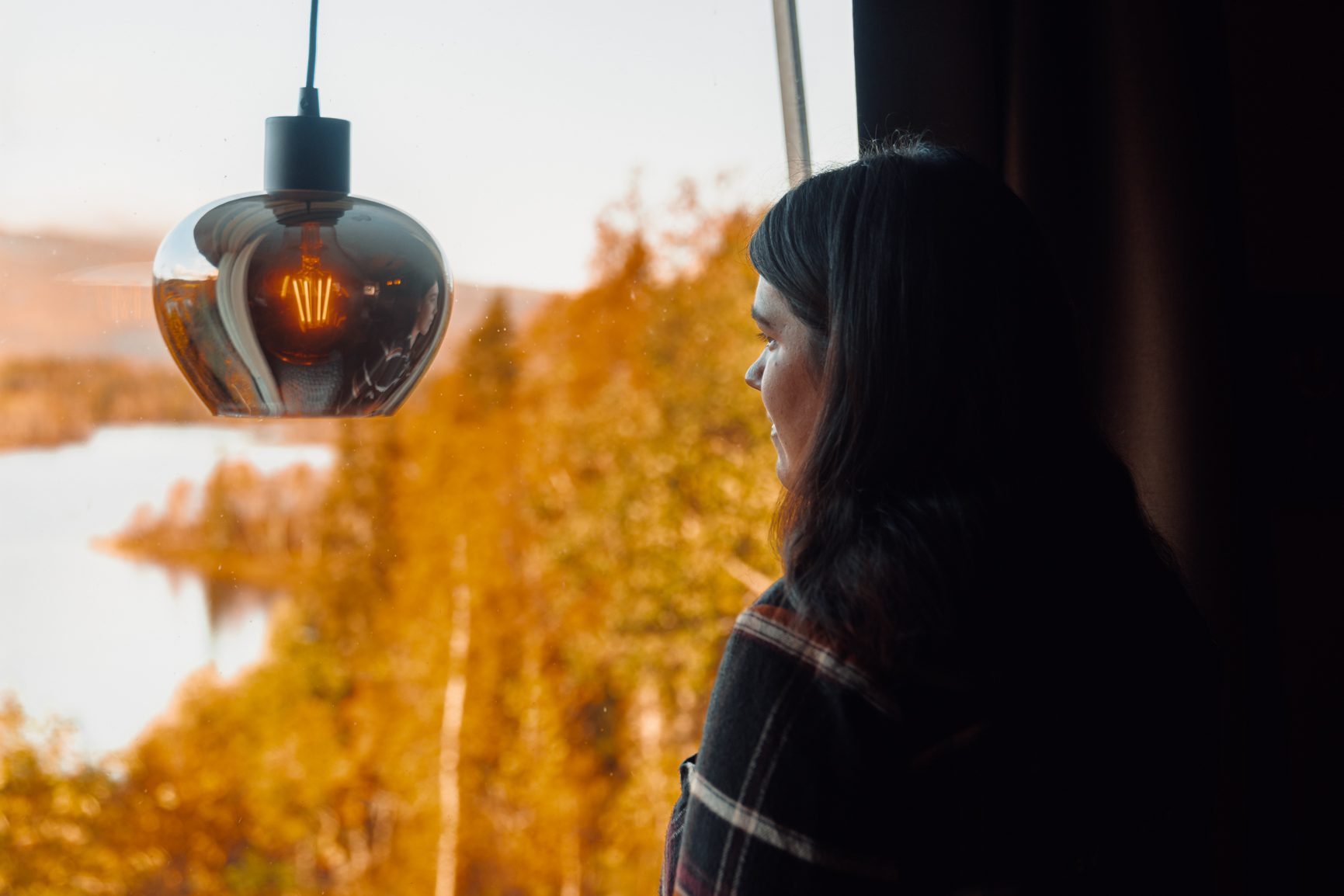 Street light, Sky, Plant, Window, Wood, Sunlight, Tree