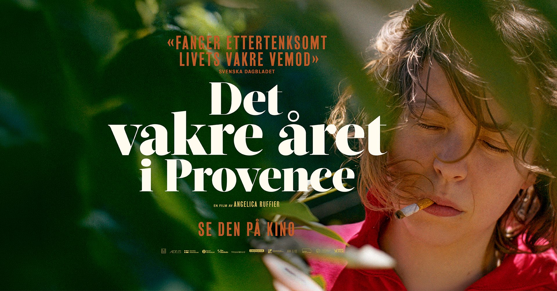 Det vakre året i Provence