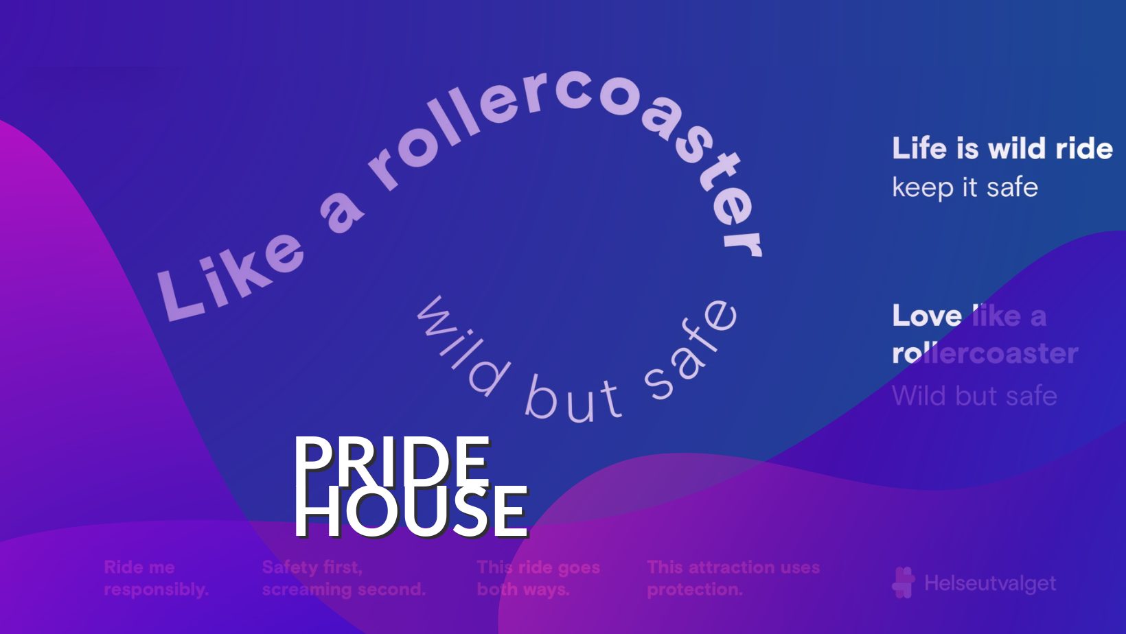 Helseutvalget: Like a rollercoaster - wild but safe