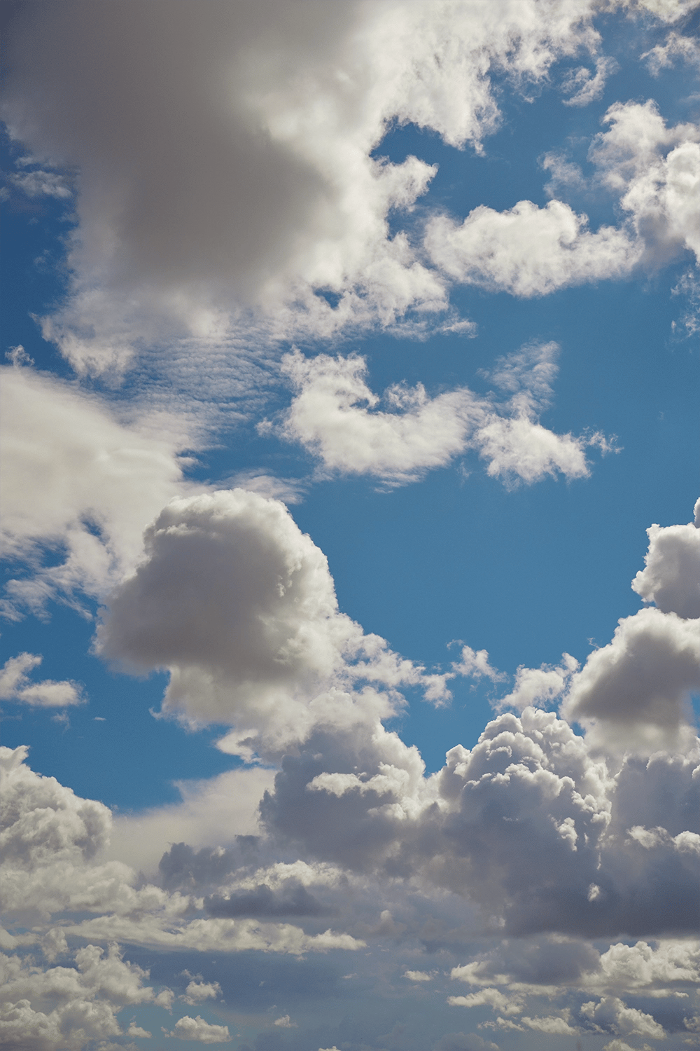 Blue sky with fluffy white and grey clouds.