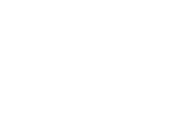 White stylized 'V' logo next to the words 'VOLKSBANK' and 'VORARLBERG' on a dark green background.