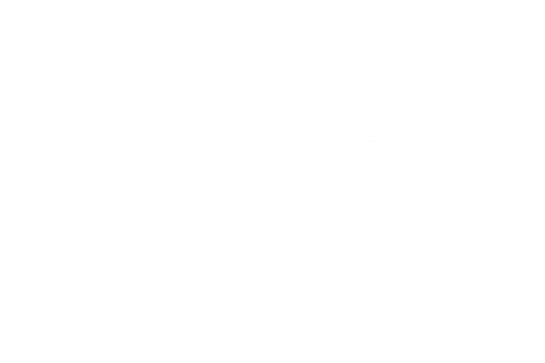 An abstract white jagged line or waveform, resembling a stylized 'W' or mountain range, on a dark green background.