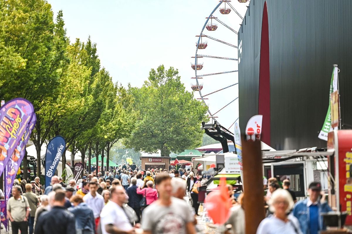 A vibrant outdoor fair with a large crowd, vendor stalls, trees, and a prominent Ferris wheel.