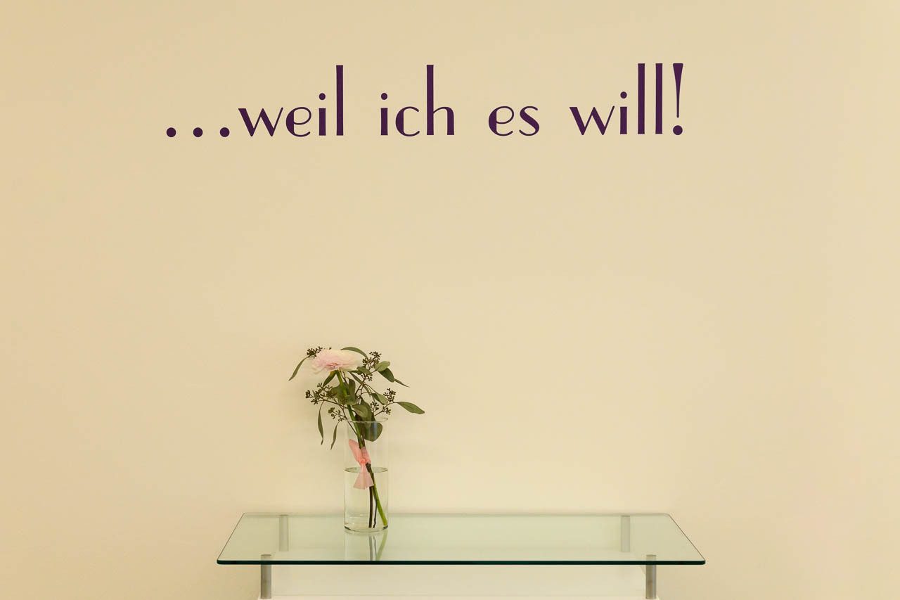 German text "...weil ich es will!" on a wall, with a pink flower in a vase on a glass table below.