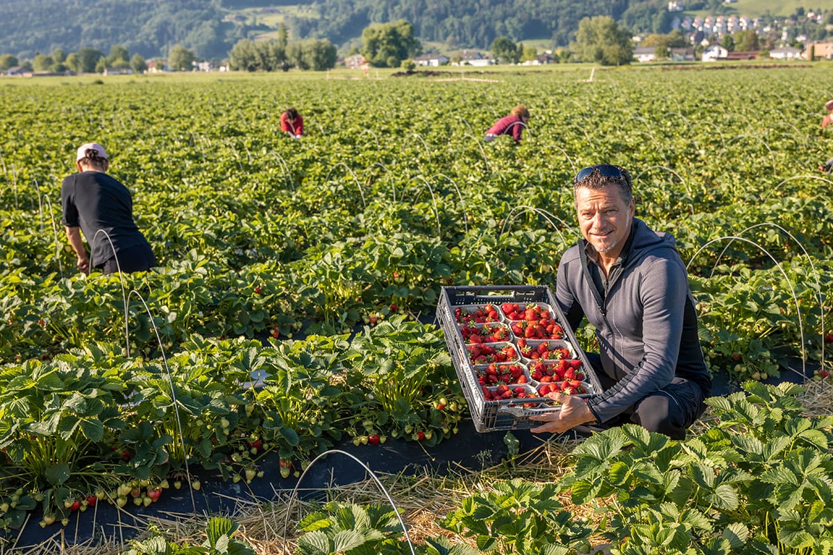 People in nature, Plant community, Flower, Grass, Agriculture, Shrub, Farmer, Grassland