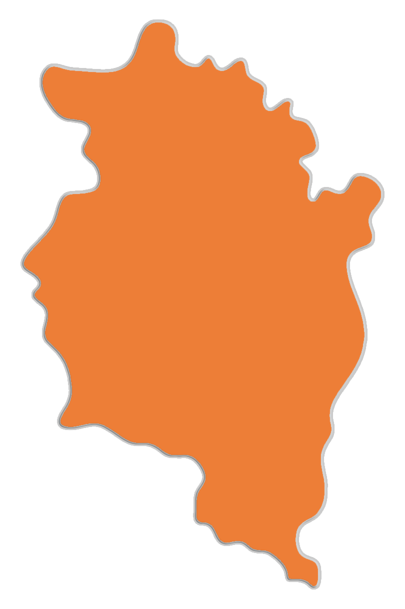 Orange map-like shape with gray outline on a dark green background.