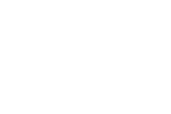 White Mayer Holzbau logo featuring a geometric symbol above "MAYER" and "HOLZBAU" text on a dark green background.