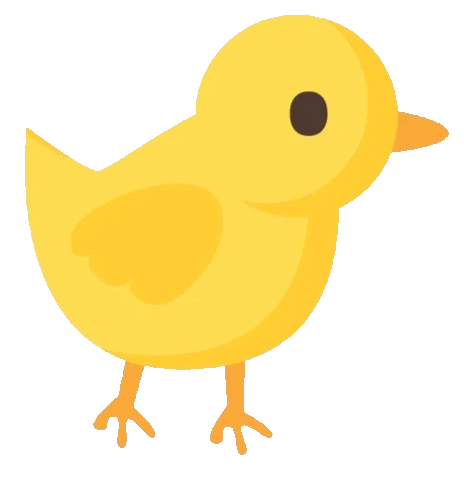 Bird, Beak, Organism, Phasianidae