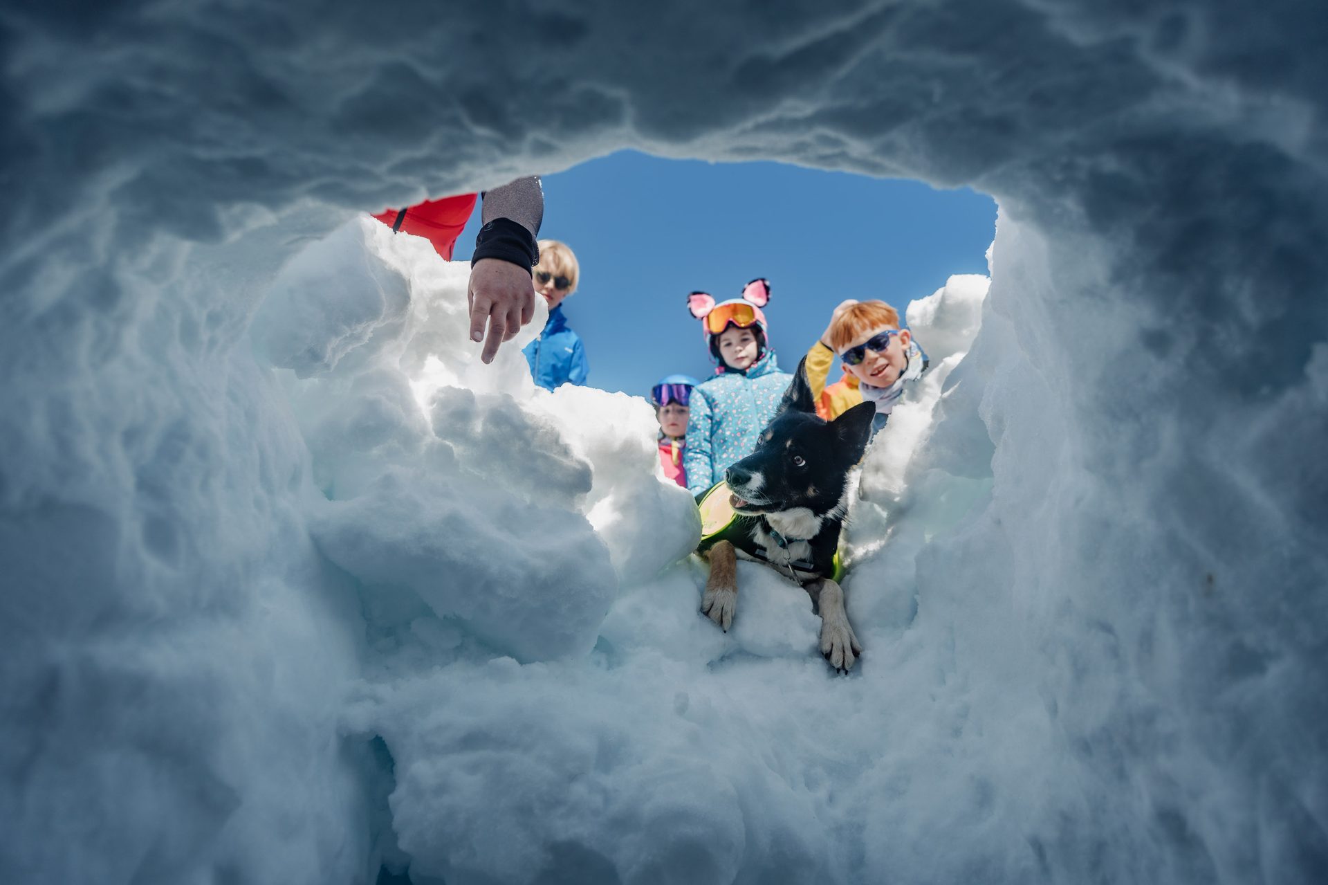 Children and a dog look out from a snow cave on a bright, sunny day, with an adult's hand pointing.