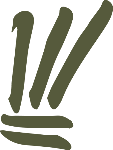 Stylized dark green symbol with three upward strokes and two horizontal strokes on a green background.
