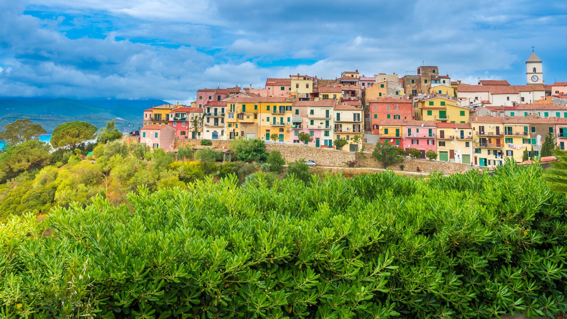 Blue, Yellow, Vegetation, Horizon