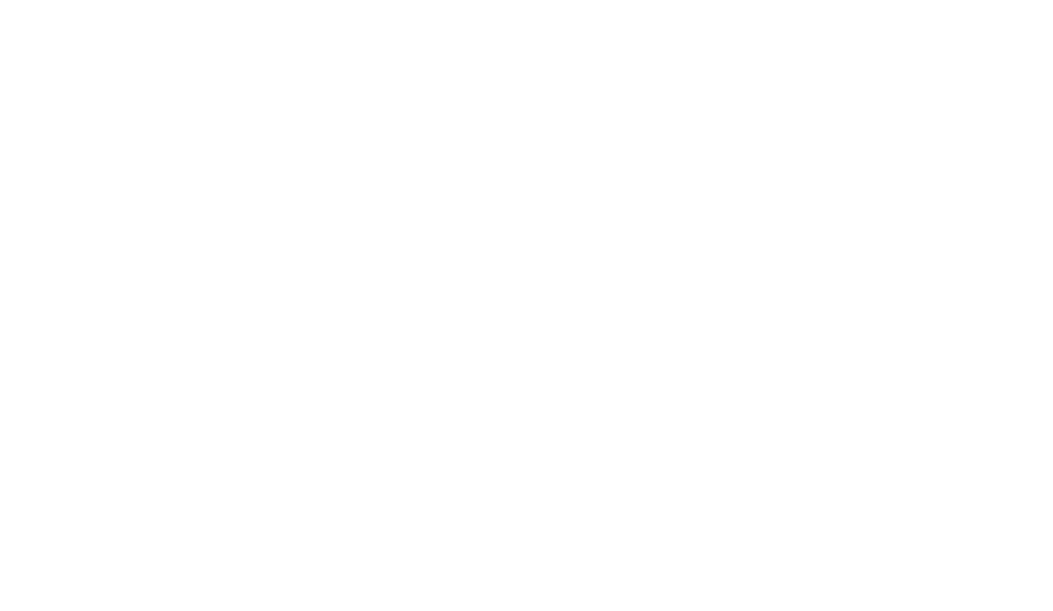 Logo for Primus Immobilien with 'PI' symbol and 'Beatus Fleisch' text on a green background.