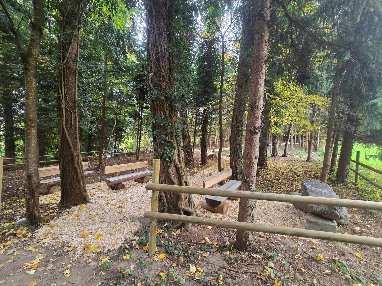 Wooded area with rustic benches, tall trees, and a log fence; ground covered in wood chips and leaves.