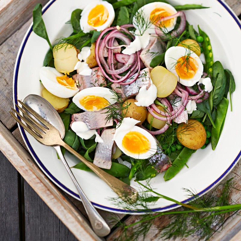 Boiled egg, Leaf vegetable, Food, Tableware, Ingredient, Recipe, Cuisine, Dishware, Dish