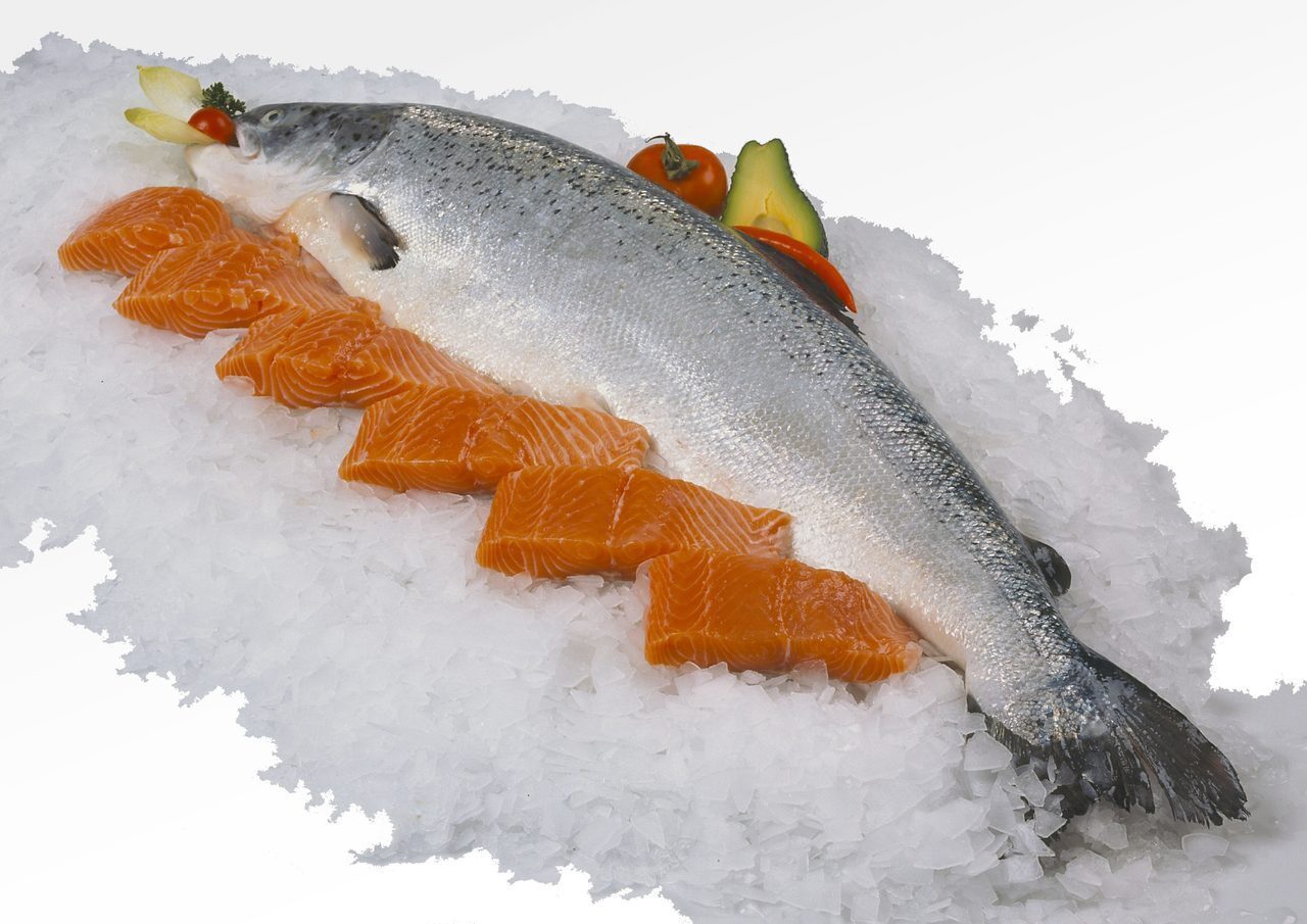 salmon, fillet, fresh, salmon, salmon, salmon, salmon, salmon