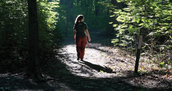 Natural environment, Outdoor recreation, Leaf, Nature, Wood, Forest, Wilderness, Woodland, Trail