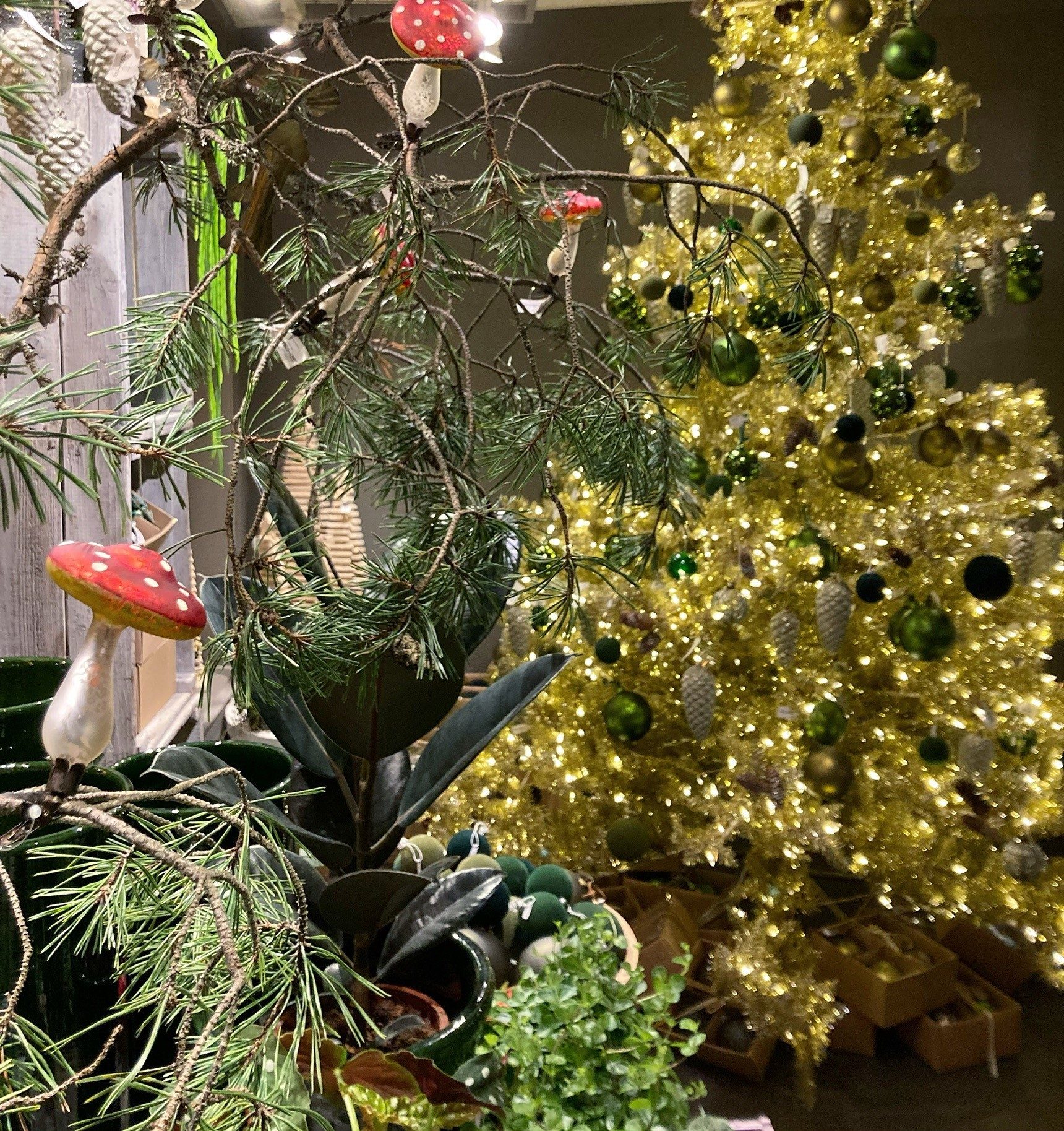Christmas tree, Holiday ornament, Terrestrial plant, Flowerpot, Branch, Twig, Vegetation, Houseplant