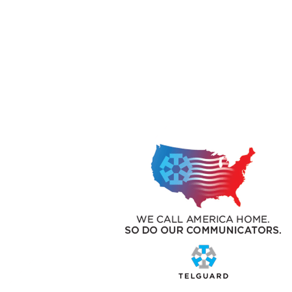 Telguard Corner Cut ad