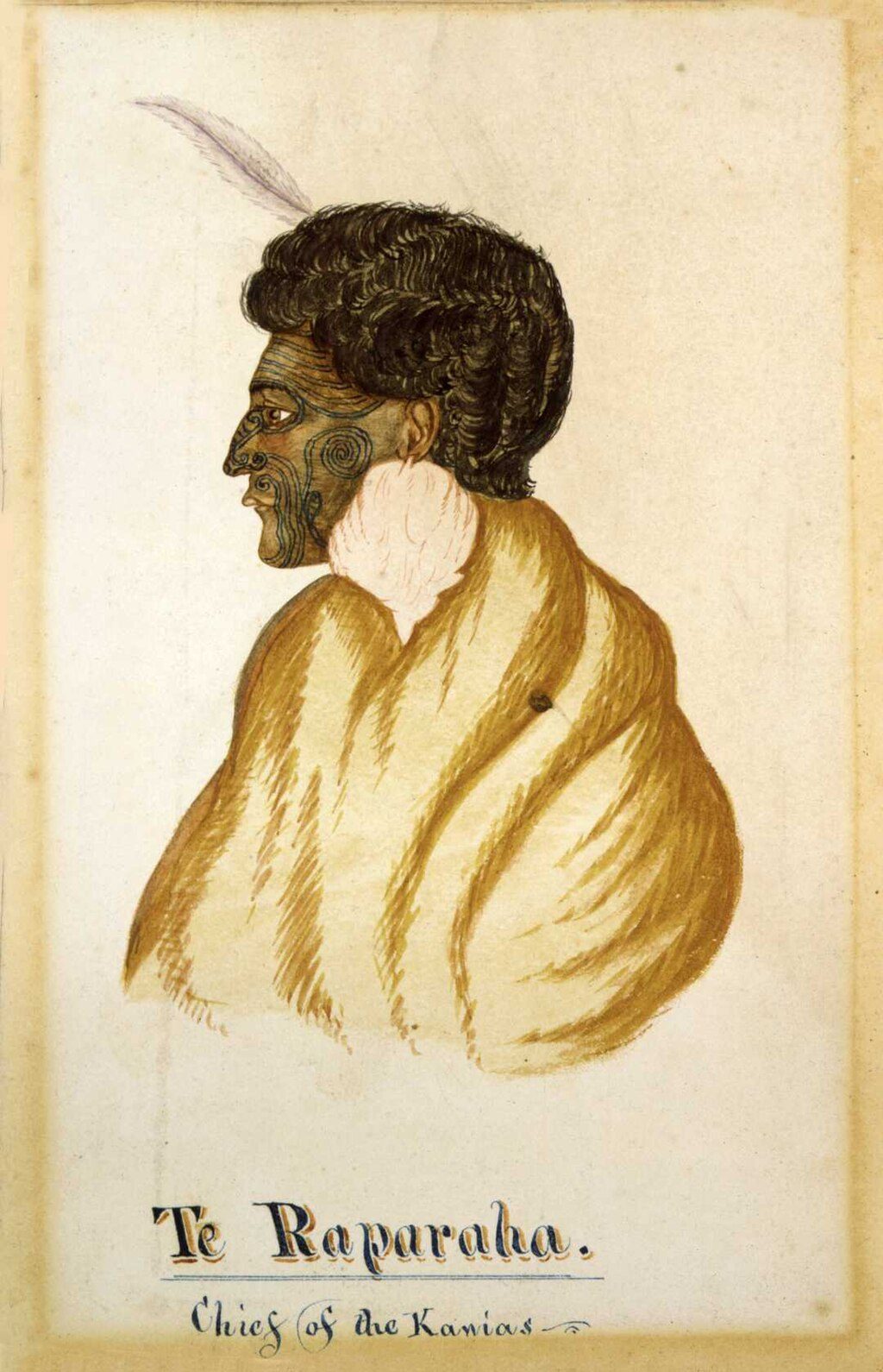 Jaw, Art