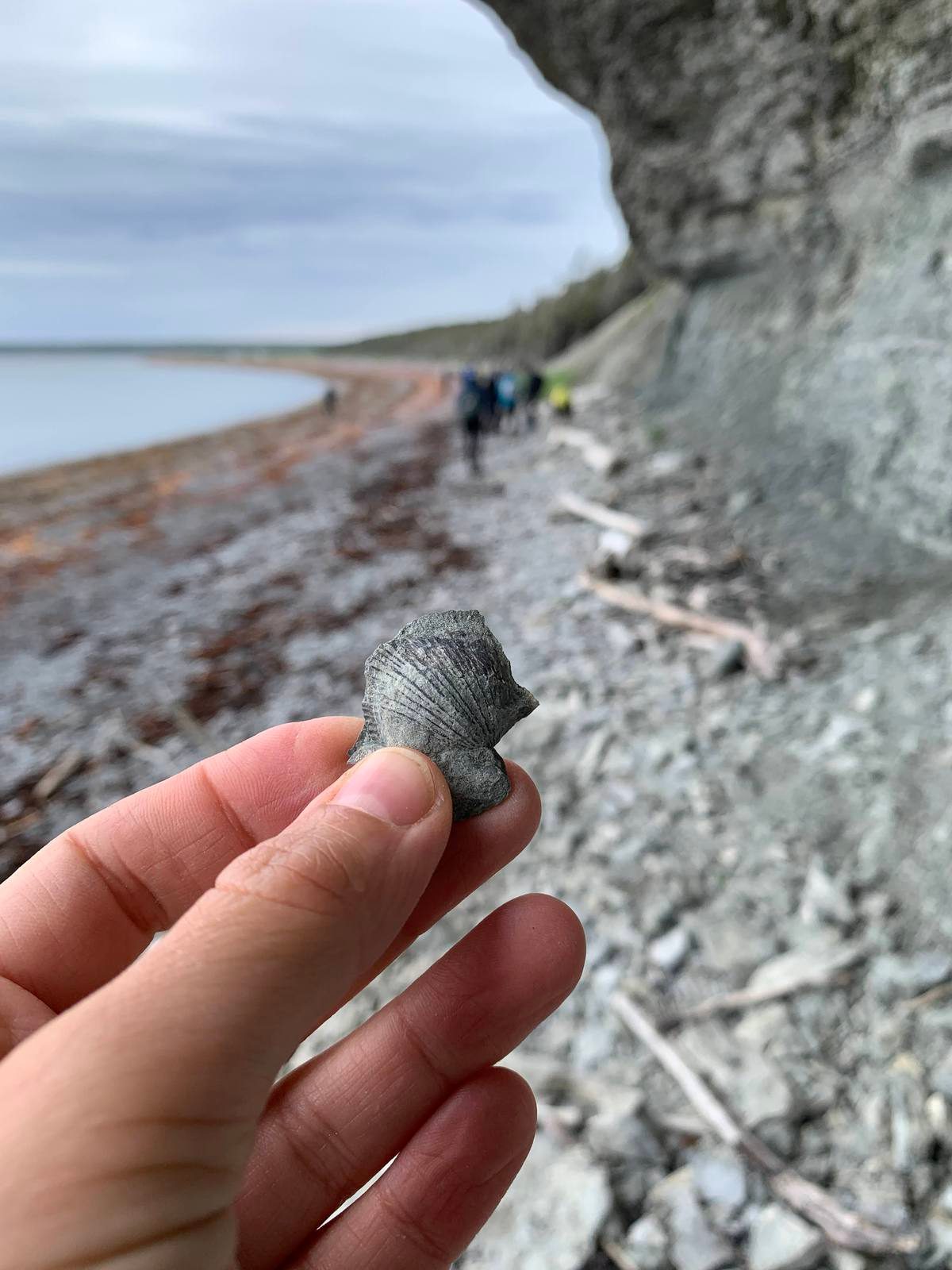 Sky, Water, Gesture, Wood, Finger, Plant, Cloud