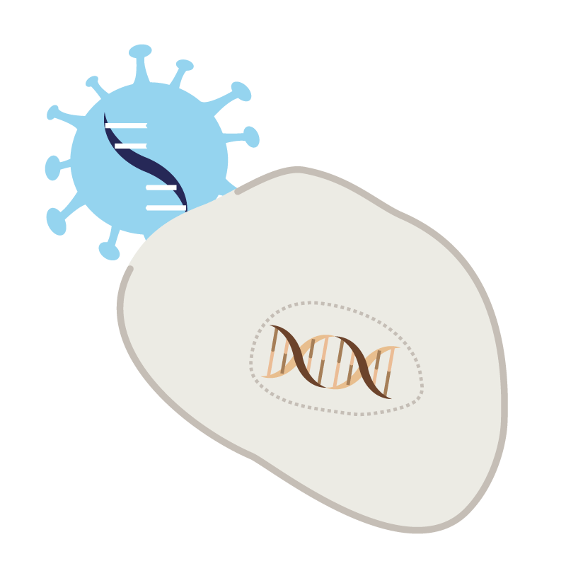 Sleeve, Font, Gesture