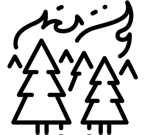 Facial expression, White, Gesture, Line, Font