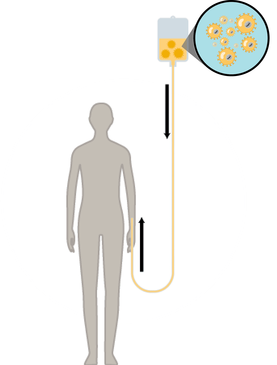 Light, Sleeve, Gesture, Font