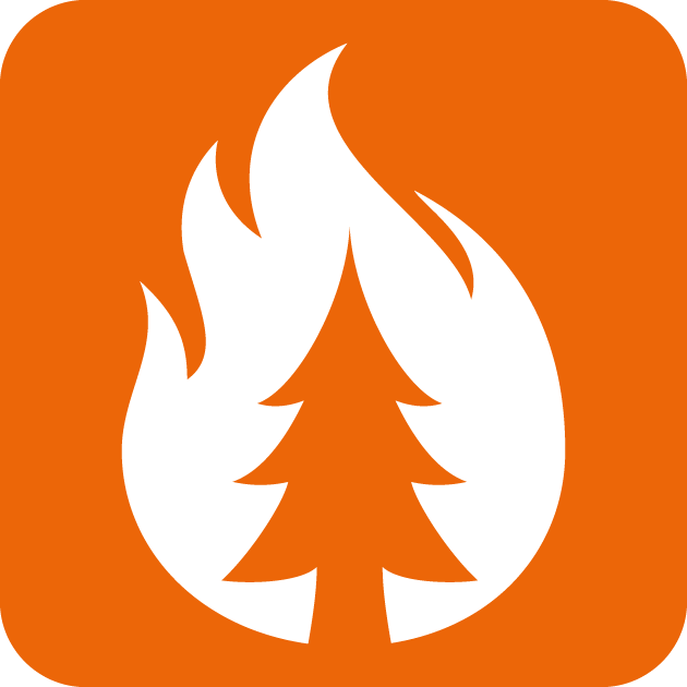 Rectangle, Orange, Tree, Font