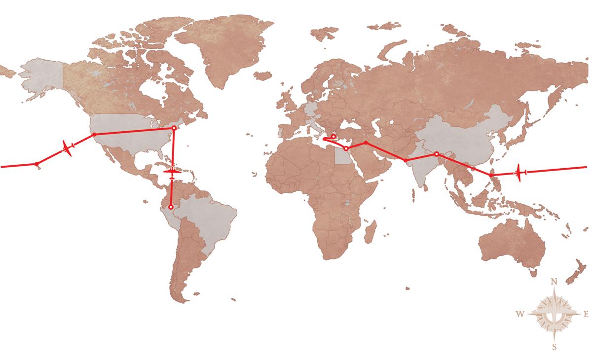 Map, Ecoregion, World, Plant