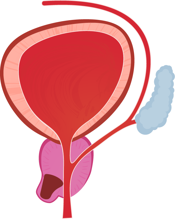 Material property, Liquid, Gesture