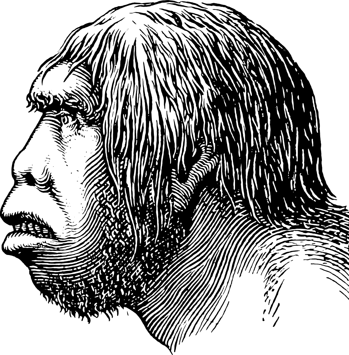 Human body, Nose, Eye, Jaw, Beard, Hat, Mammal, Gesture, Font