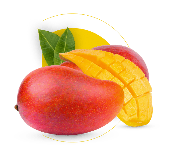 Staple food, Natural foods, Plant, Fruit, Ingredient, Tree