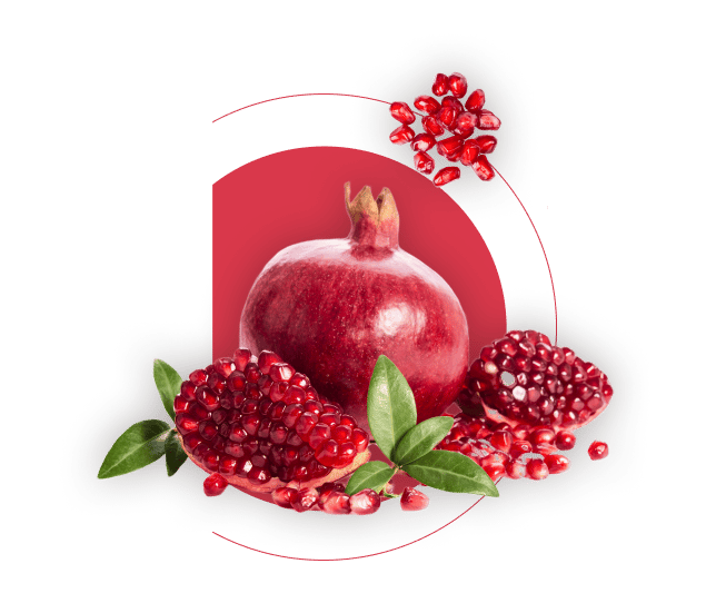 Natural foods, Seedless fruit, Food, Dishware, Plate, Tableware, Serveware, Gesture, Strawberry