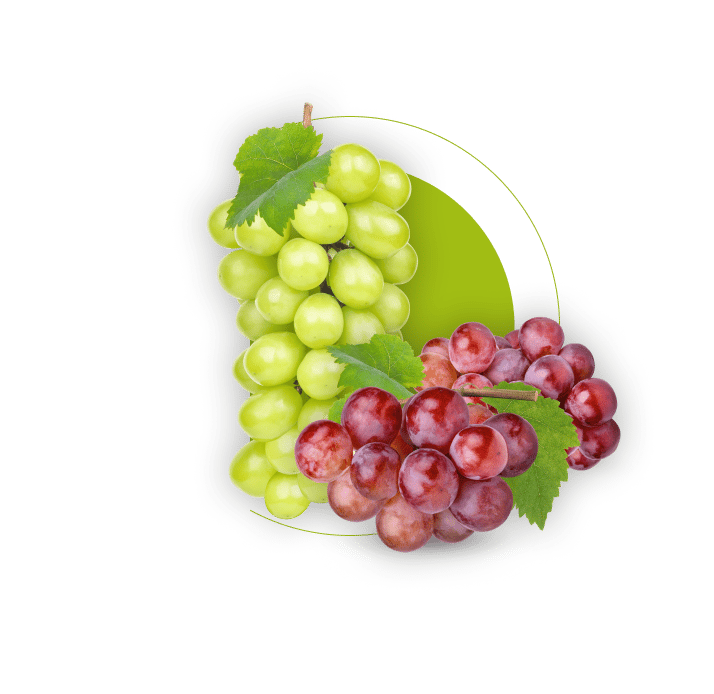 Natural foods, Seedless fruit, Tableware, Dishware, Grape, Gesture
