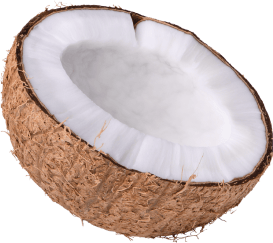 Food, Ingredient, Tree, Cuisine