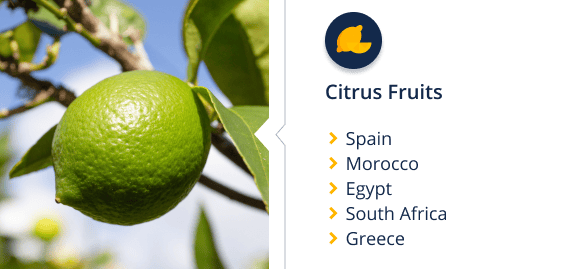 Meyer lemon, Rangpur, Fruit, Citrus, Yellow, Lime, Tree