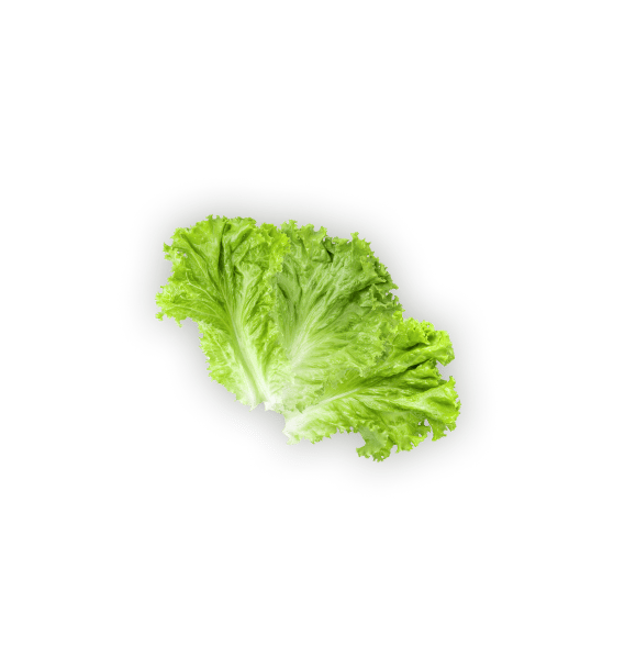 Leaf vegetable, Food, Plant, Ingredient