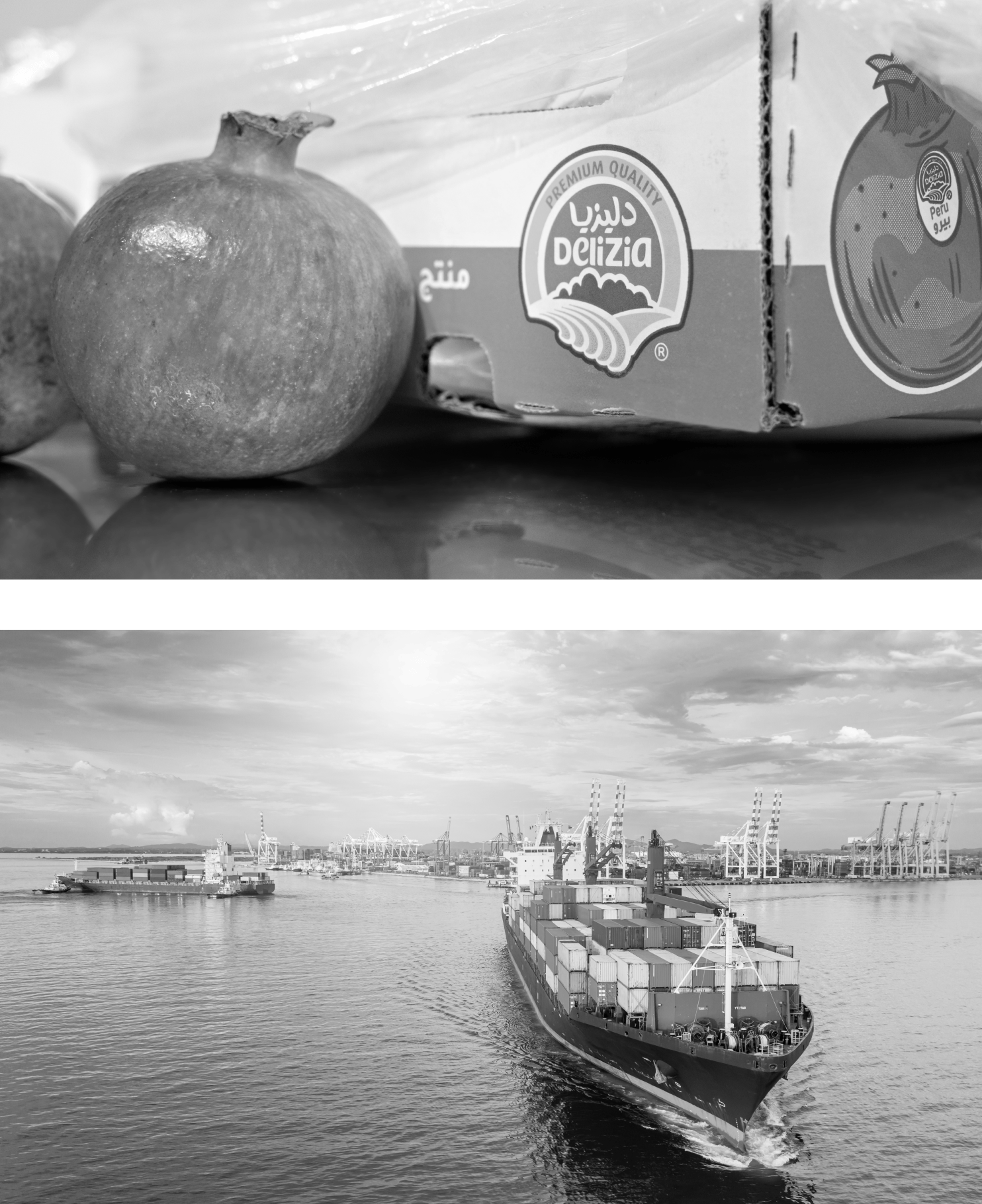 Water, Photograph, White, Boat, Black, Watercraft, Sky, Vehicle, Style, Black-and-white