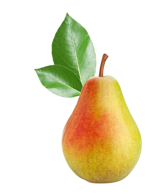 Natural foods, Food, Pear, Plant, Fruit, Flower, Tree